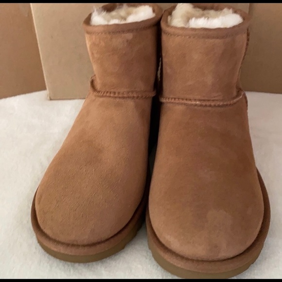 UGG Shoes - UGG Classic Mini ll